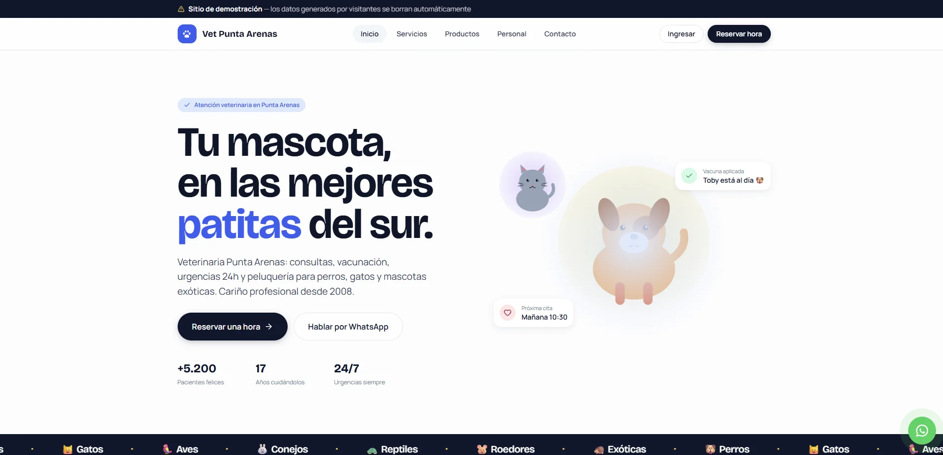 CRM Veterinaria Punta Arenas